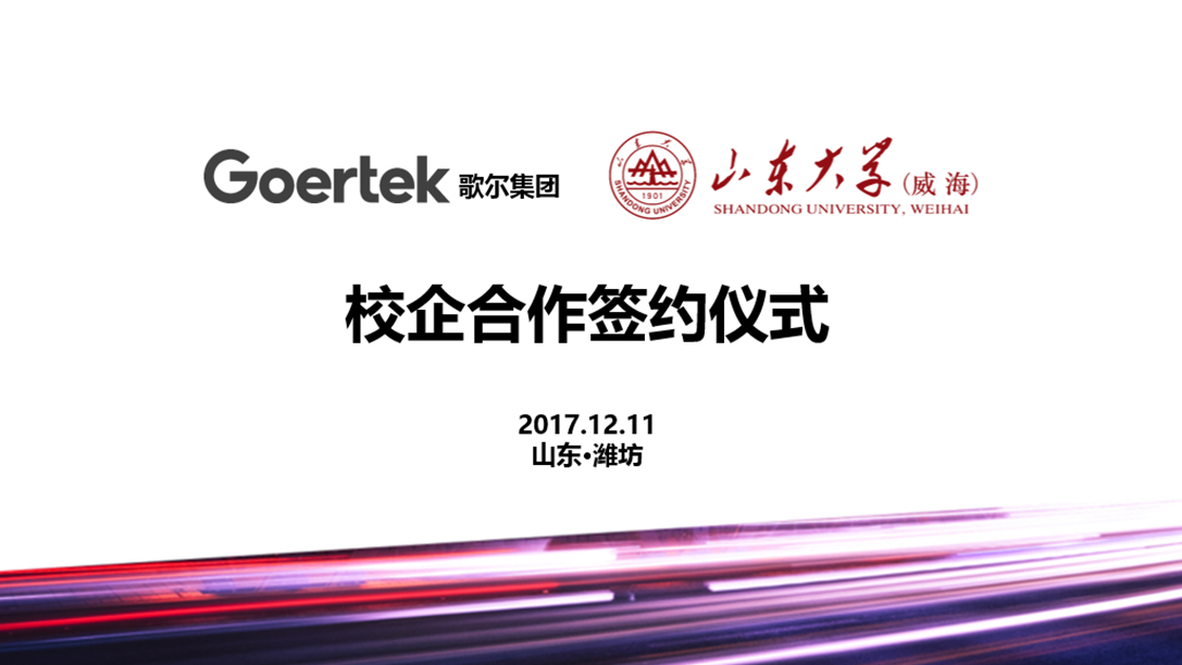 js1996(�й�)���޹�˾