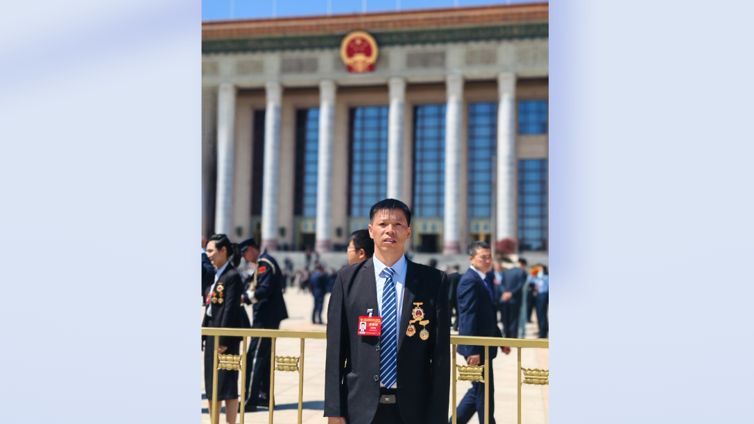 js1996(�й�)���޹�˾