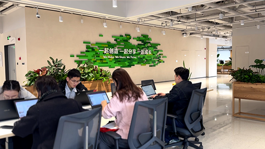 js1996(�й�)���޹�˾