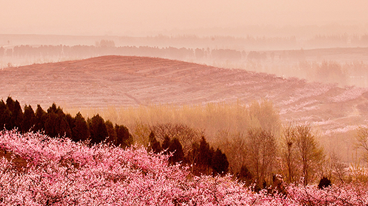 js1996(�й�)���޹�˾